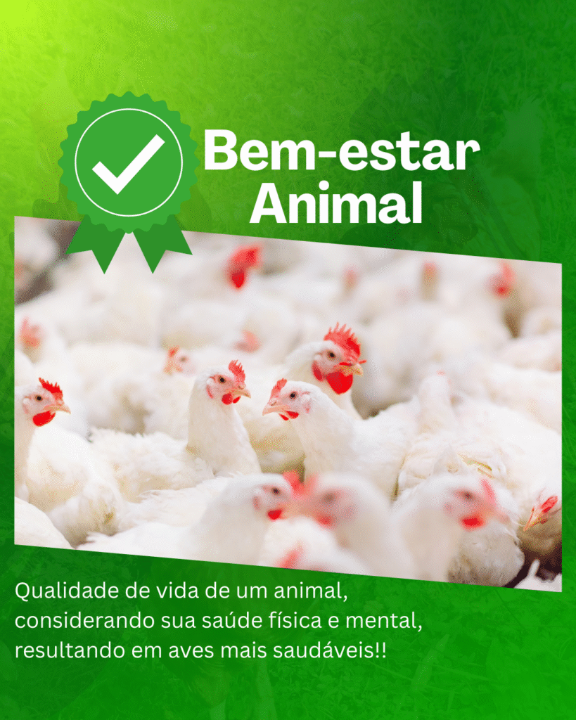 Imagem atual: BEM-ESTARANIMAL